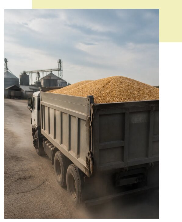 Перевозка сельхозпродукции навалом в Сарапул по цене от 3097 р. | Агросервис-Срл